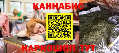 сатива Кандалакша