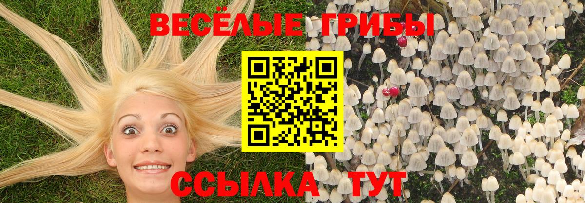 Унеча  Вход с VPN  МЕФ   НБОМе  Гашиш  ЭКСТАЗИ  КОКАИН 